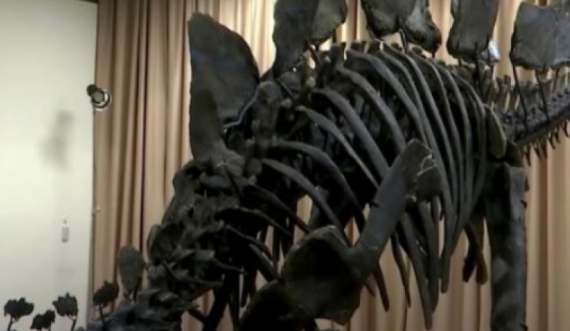 Ekspozohet skeleti i plotë i një dinozauri