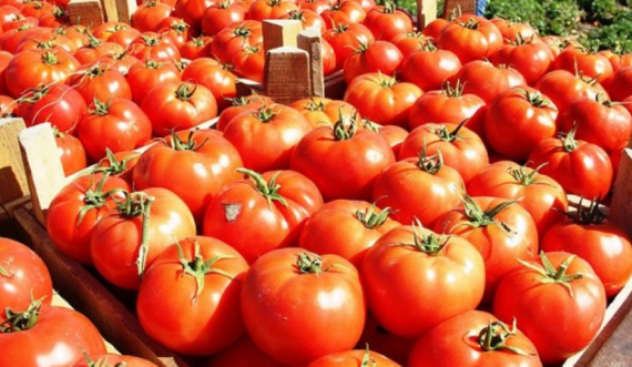 A kanë ndonjë efekt anësor domatet?