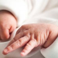 Gjermania regjistron nivelin më të ulët të lindjeve 