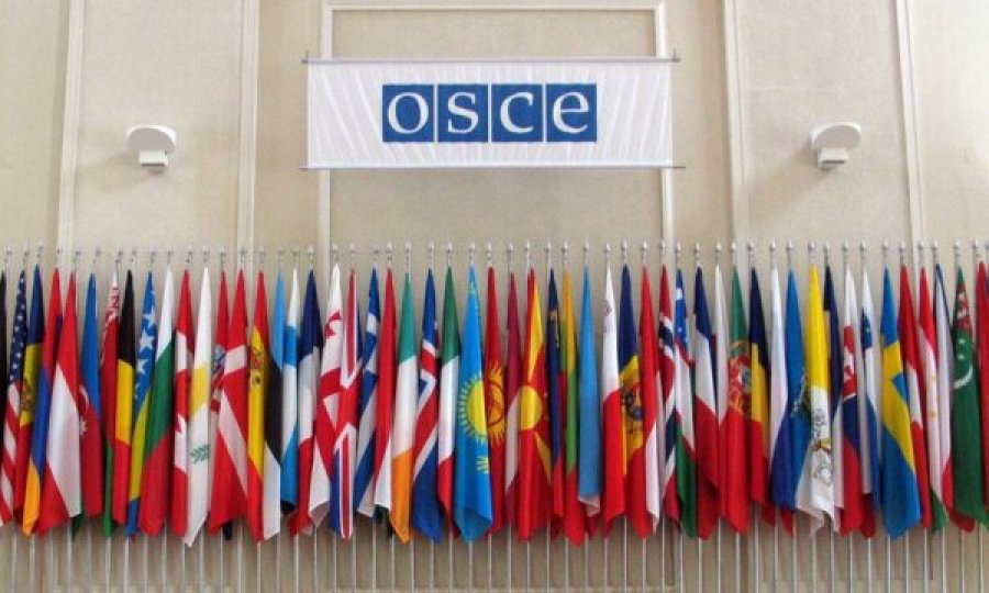 Amerikanët nga selia e OSBE’së në Vjenë çojnë mesazhe, Kosovës për dinarin, Serbisë për Radojiçiqin