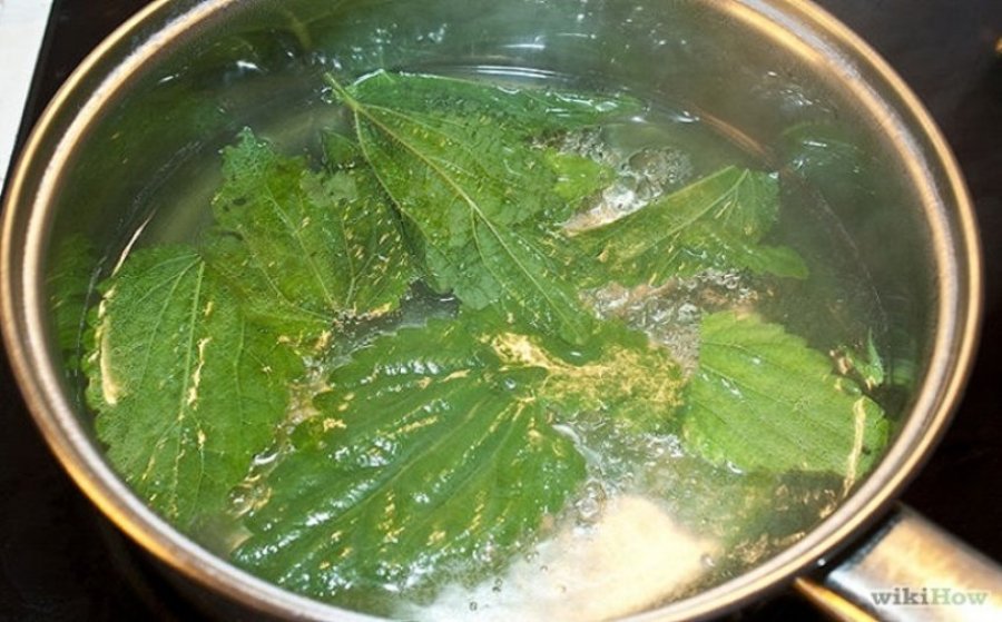 Lëngu nga hithrat, pastron gjakun, trupin dhe kthen forcën