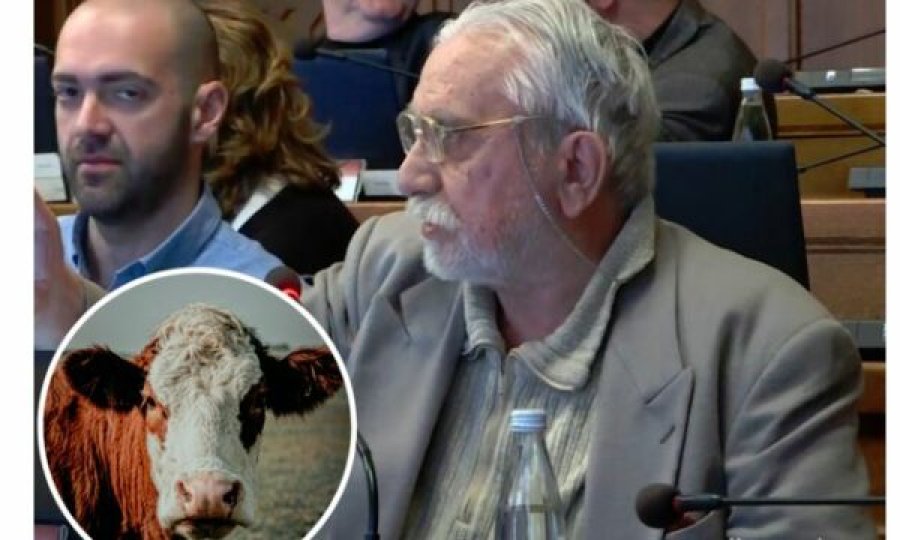 Politikani nga BeH po kërkon ngritjen e një monumenti të një lope në qendër të Sarajevës