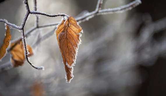 Moti sot, me vranësira dhe i ftohtë