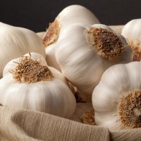 Hudhra konsiderohet prej kohësh një superushqim