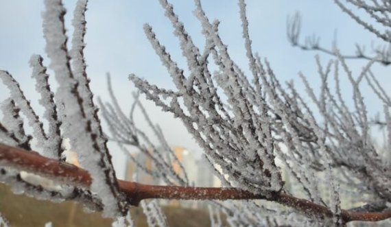 Mëngjesi i acartë, gjatë ditës mot me diell