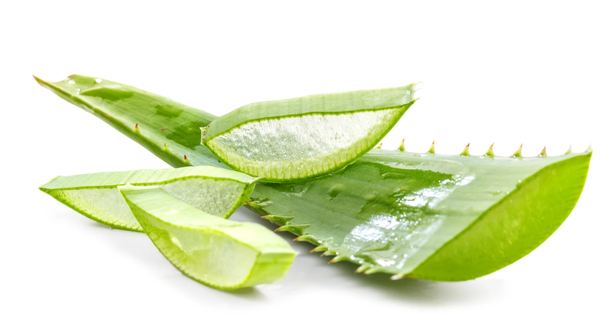 Përdorni aloe vera kundër rënies së flokëve!