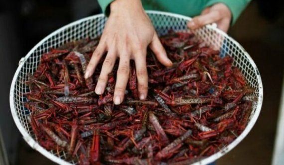 Ky vend miraton zyrtarisht insektet si produkt ushqimor