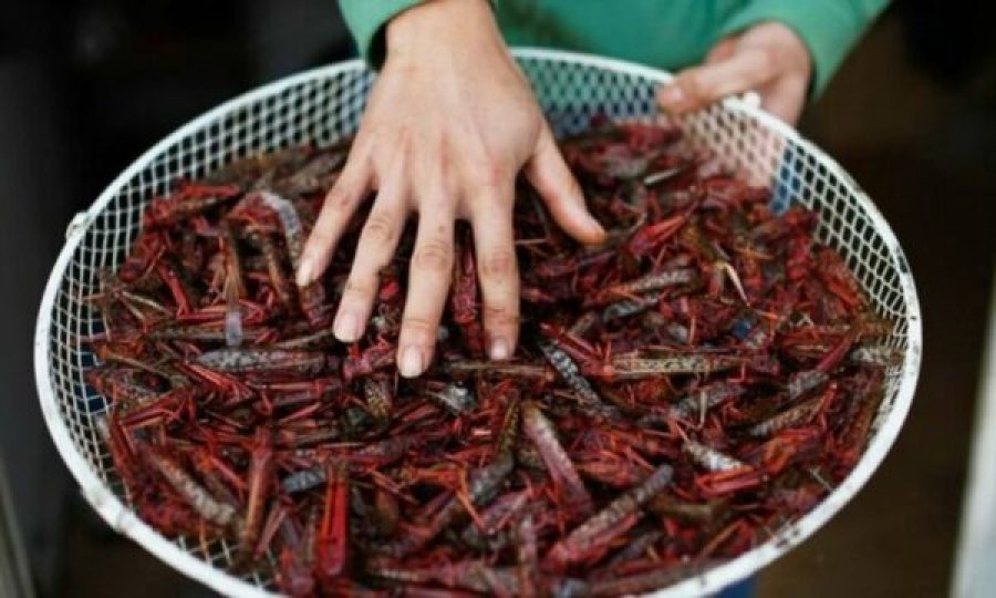 Ky vend miraton zyrtarisht insektet si produkt ushqimor