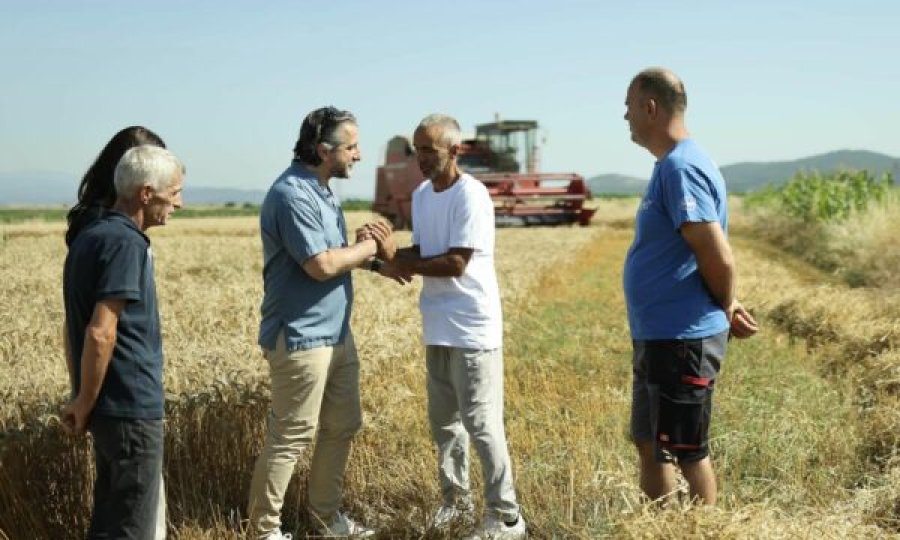 Rama: Sukses i madh, 60% më shumë sasi e grurit se vitin e kaluar në Prishtinë dhe deri në 5000 kg për hektarë