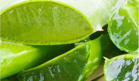 Aloe Vera për lëkurë më të shëndetshme