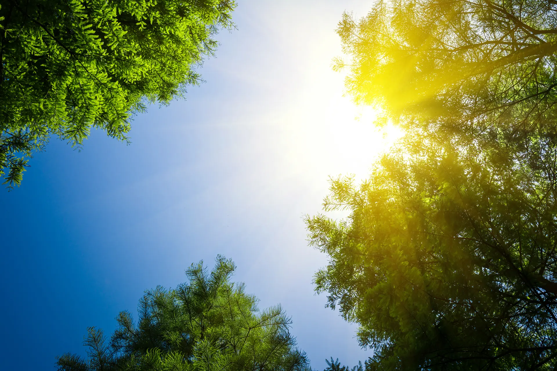Fundjava me diell, temperaturat mbi 30 gradë