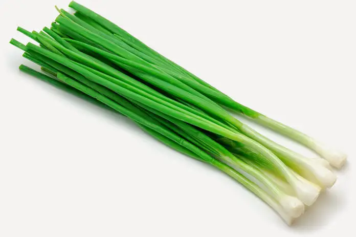 Vetitë shëruese të bimës, për të cilat nuk jemi aspak të vetëdijshëm