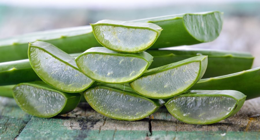 Aloe-vera mbron, qetëson, freskon dhe hidraton