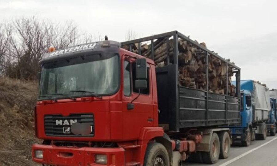 Ndalohen katër kamionë me drunj, Policia inicion rast për 'falsifikim të dokumenteve'