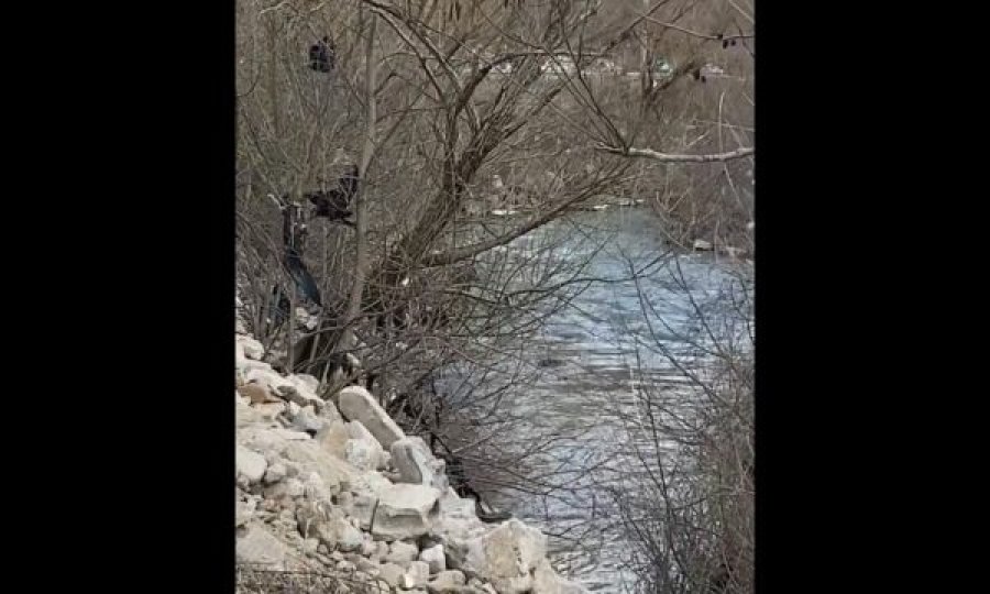Raporti për personin që ra në lumin Morava, në trupin e viktimës nuk vërehet ndonjë plagë përveç disa gërvishtjeve të vogla