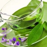 Sherbela ka veti antioksiduese dhe anti-inflamatore 