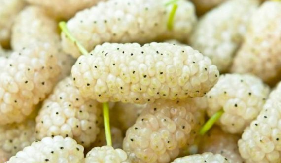 Mani i bardhë, ilaç për shumë sëmundje