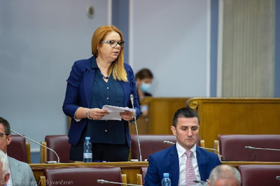 Shefja e delegacionit malazez: Anëtarësimi i Kosovës në KiE i hap rrugë territoreve të tjera të diskutueshme që të kërkojnë anëtarësim