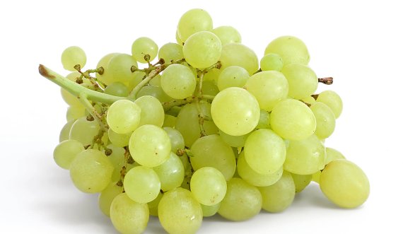 Dobitë interesante të bimës më të vjetër të kultivuar në botë