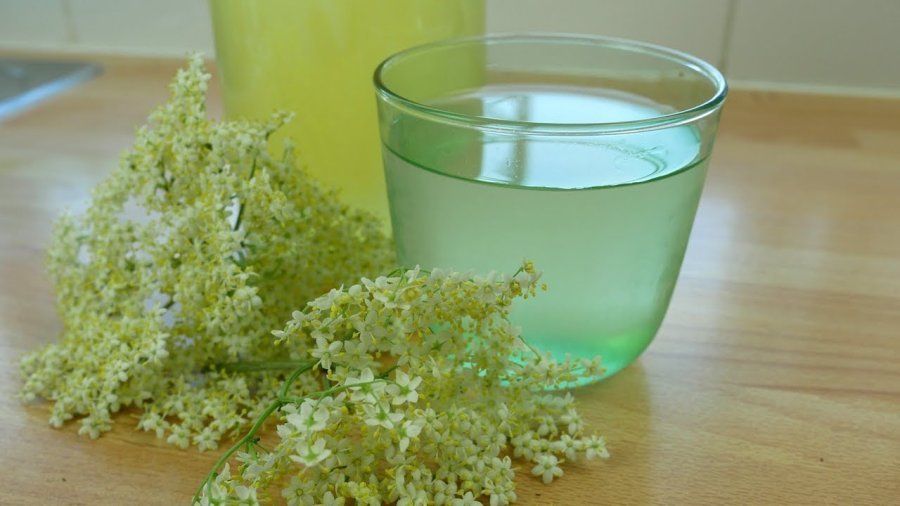 Receta për shurupin nga shtogu që vepron si tonik