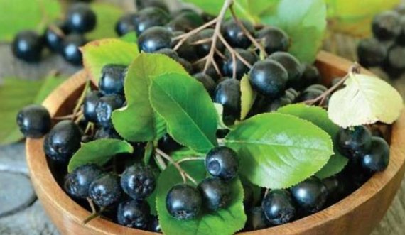 Aronia është e pasur me antioksidantë