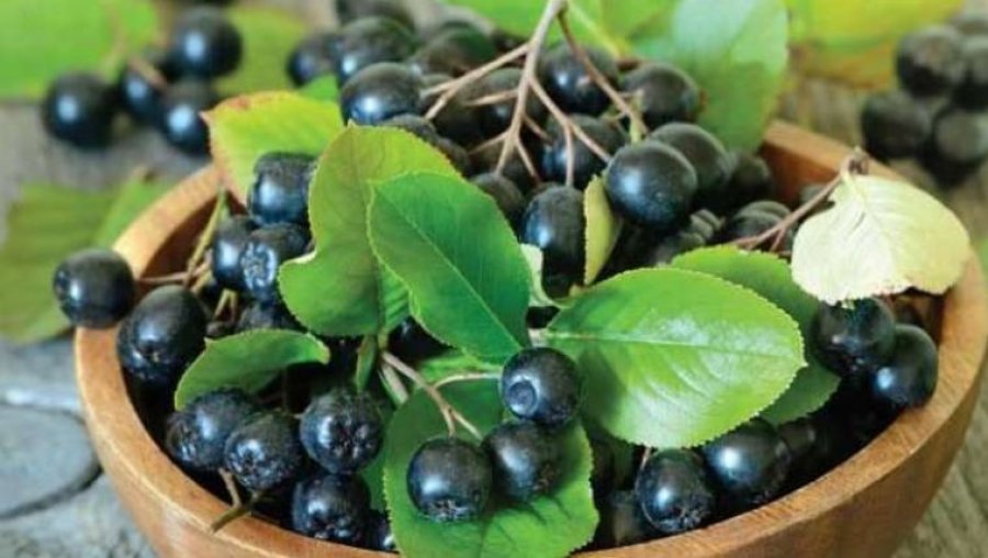 Aronia është e pasur me antioksidantë