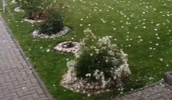 Pamje të breshërit që ra dje në Han të Elezit