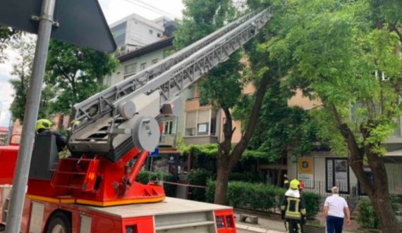 Zjarrfikësit e Prishtinës e largojnë degën e thyer të një lisi 