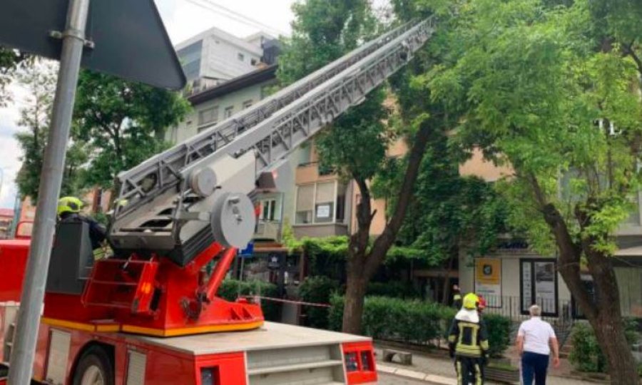 Zjarrfikësit e Prishtinës e largojnë degën e thyer të një lisi