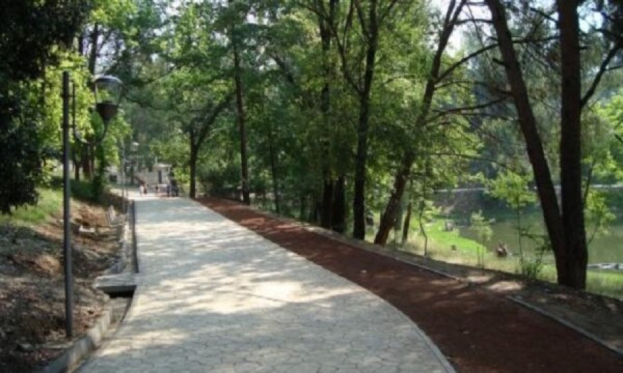 56-vjeçari ngacmon seksualisht dhe e kërcënon me një mjet prerës 34-vjeçaren në Tiranë
