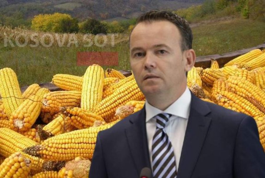 Pacolli i qon 'selam' Faton Pecit: Paratë e dhëna për grante, janë të shtetit jo të xhepit tuaj