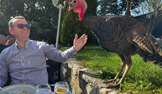 Peci poston fotografi me një quran te madh