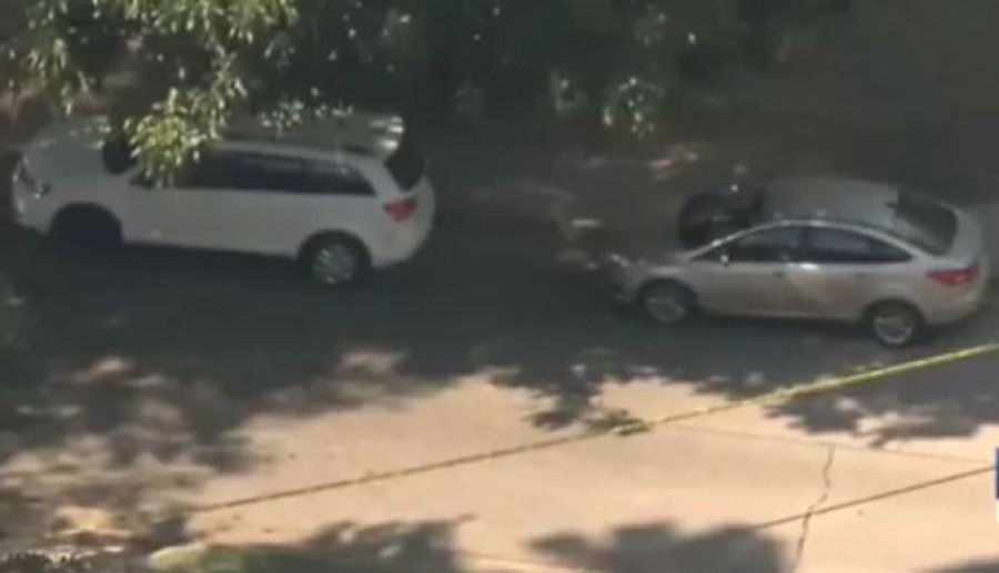 E trishtë: Binjakët gjenden të vdekur brenda veturës
