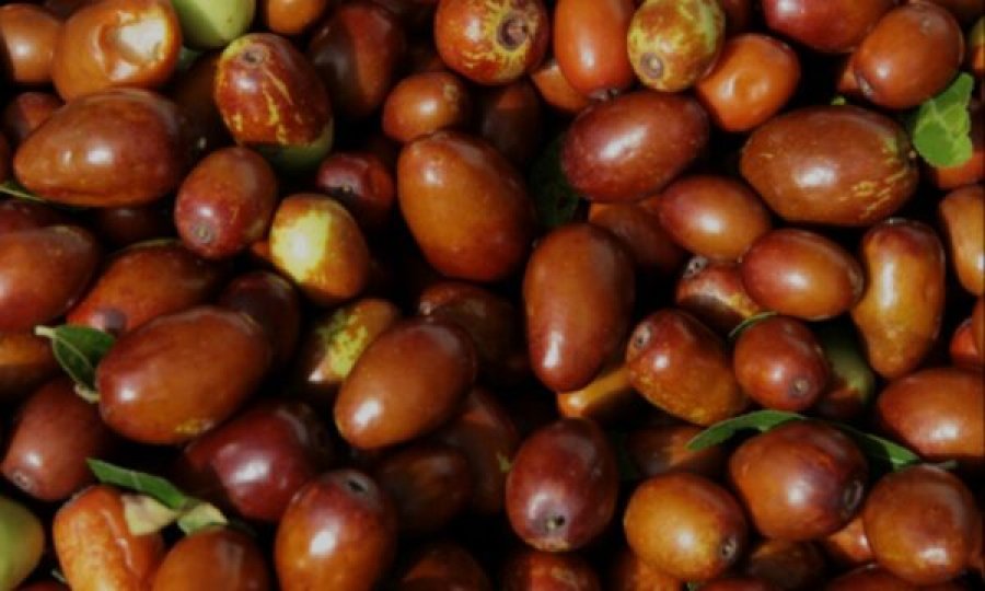 Njihuni me vlerat e frutit të vogël magjik