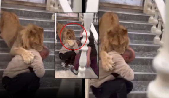52-vjeçari tregon se luanin që u bë viral e gjeti në një rrugë të Lushnjës
