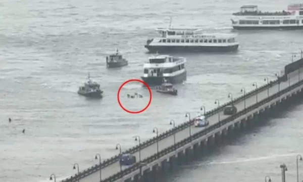 Rrëzimi i helikopterit në New York – vret një familje pesë antarëshe