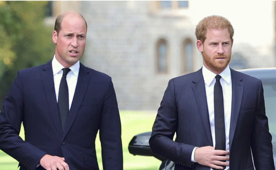 Ja arsyeja pse Princi William refuzon pajtimin me Princin Harry