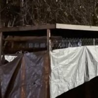 Një 22-vjeçare u gjet e mbyllur brenda një kolibe për qentë 