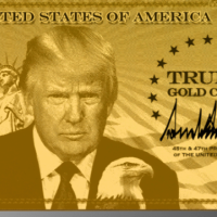 Trump prezanton 'kartën e artë', një milion dollarë për vizë