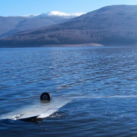 Nisin hetime për aeroplanin e rrëzuar në liqen e që drejtohej nga dy kosovarë