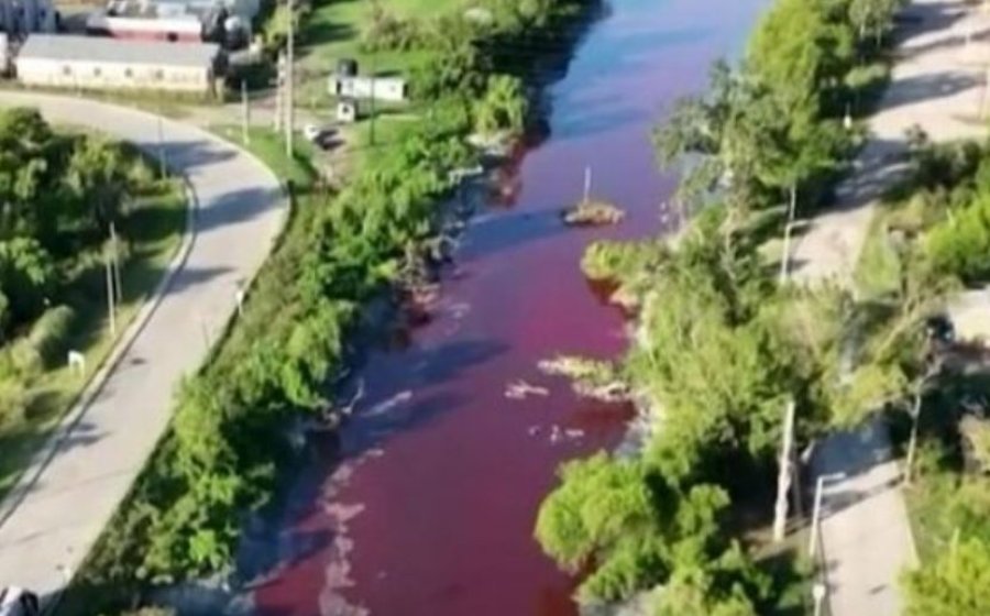Një kanal në Buenos Aires, u bë i kuq