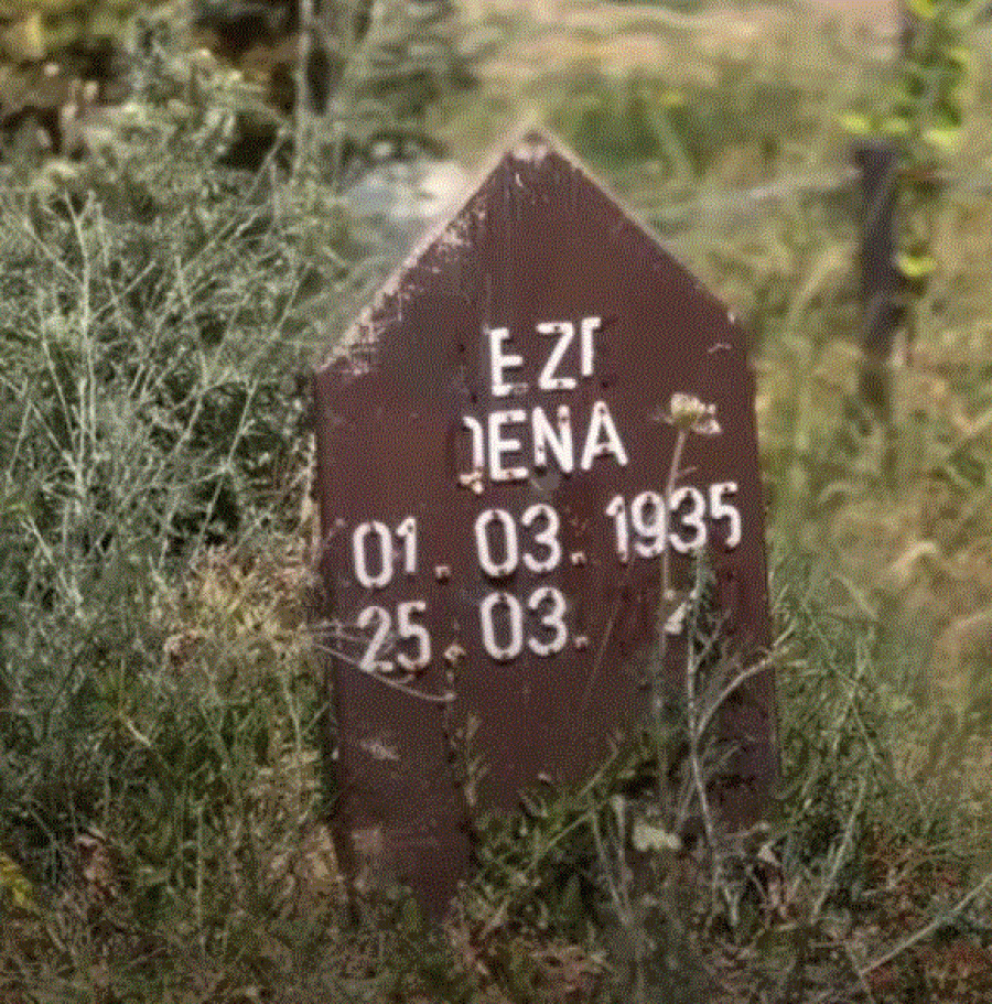 Në këtë gjendje ka pëfunduar varri i aktores së njohur Leze Qena