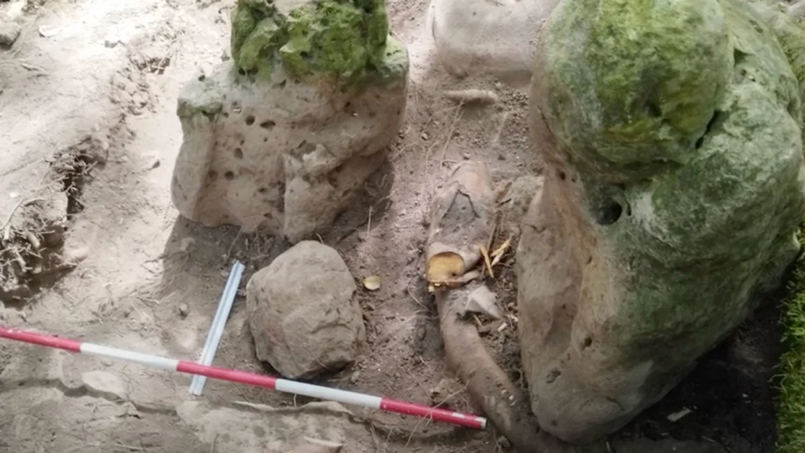 Arkeologët kanë zbuluar mbetjet e një kompleksi maja