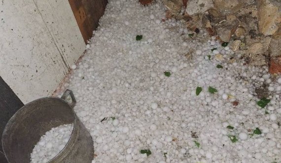 Stuhi e madhe godet Slloveninë: Pemët bien