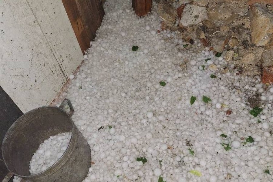 Stuhi e madhe godet Slloveninë: Pemët bien