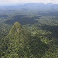 'Piramida' misterioze e fshehur thellë në pyllin e Amazonës