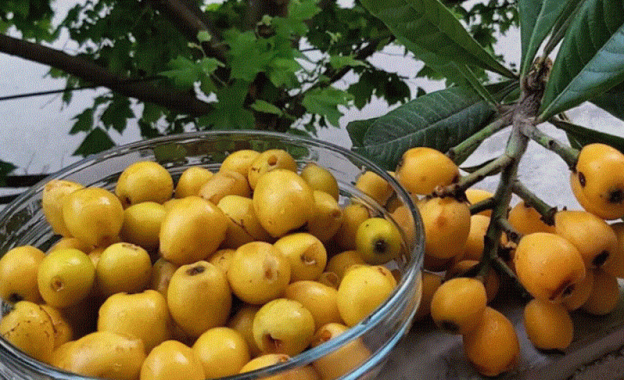 A i dini vetitë shëndetësore të nespullave?