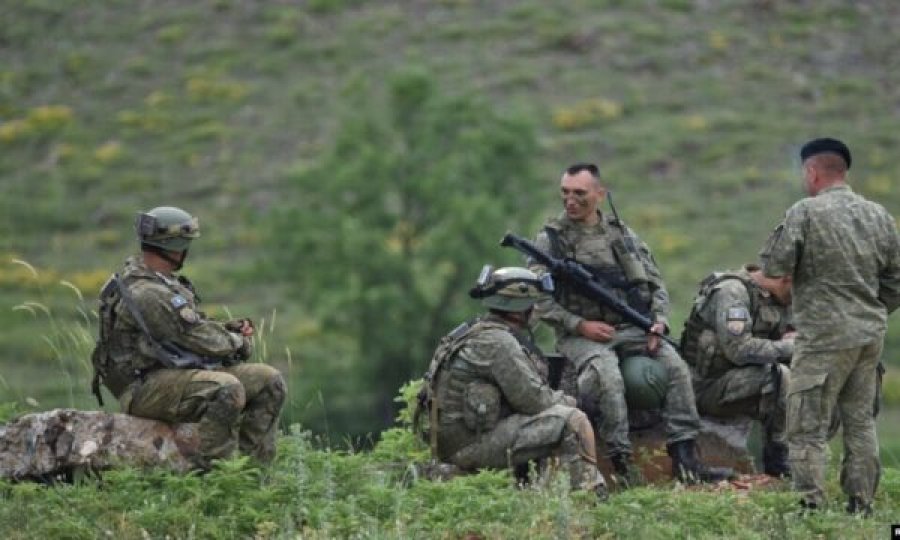 Sot mbahet 'Dita e Vizitorëve të Shquar' në kuadër të 'Defender 25'