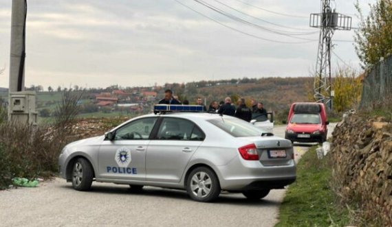 Dy vëllezërit që u vranë nga dhëndrri janë mërgimtarë, kishin ardhur në të pamë për babanë