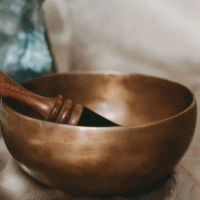 Sot shkenca po e konfirmon këtë lidhje të jashtëzakonshme